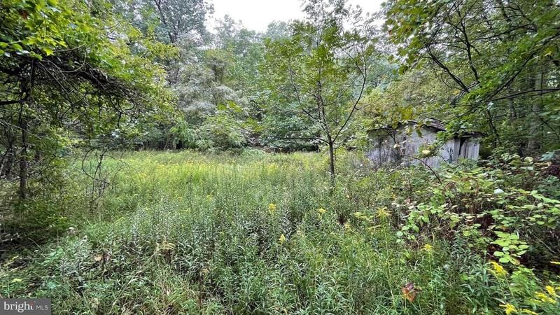 12 SPORTSMAN ROAD, ENOLA, PA 17025  623768916 for Sale
