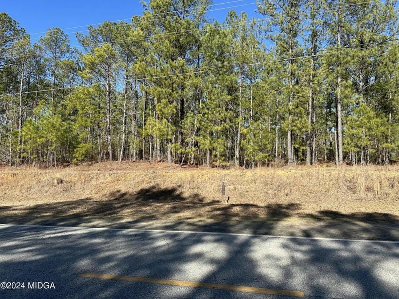 1466 PATE RD ROAD, Juliette, GA 31046 Land For Sale  MLS# 173594