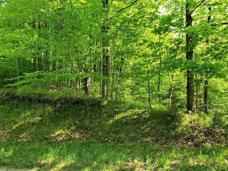 Athelstane, Marinette County, WI Undeveloped Land for sale Property ID: 415957068