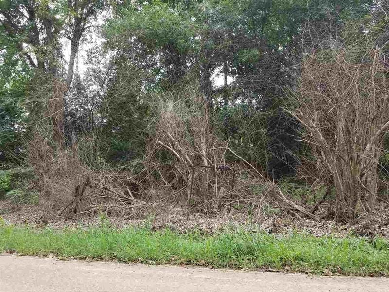 0 Dent Road, Eads, TN 38028 for Sale