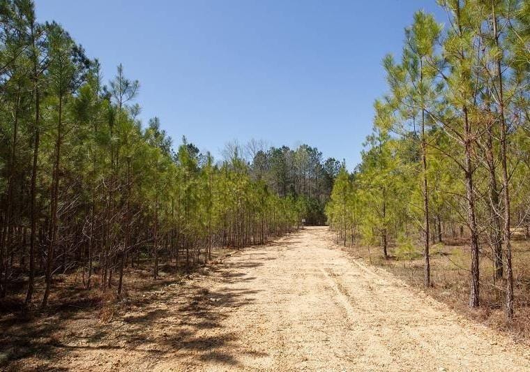 Tishomingo, Tishomingo County, MS Undeveloped Land for sale Property ID: 415314105