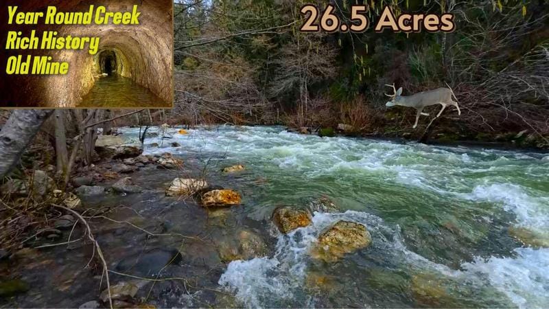 26.5 ACRES HWY 299E, Bella Vista, CA 96008 Land For Sale  MLS# 24-527