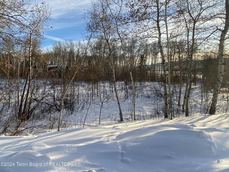 Thayne, Lincoln County, WY Undeveloped Land, Homesites for sale Property ID: 418749928