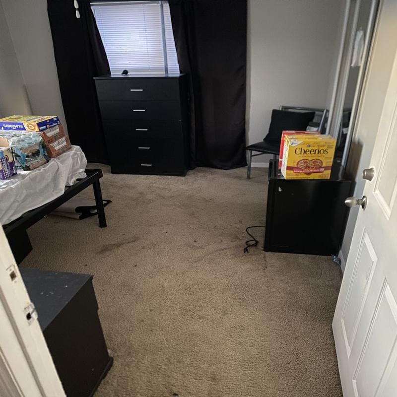 Furnished Tallahassee, Leon (Tallahassee) room for rent in 1 Bedroom, Apartment for 519 per month. Room ID 4739637
