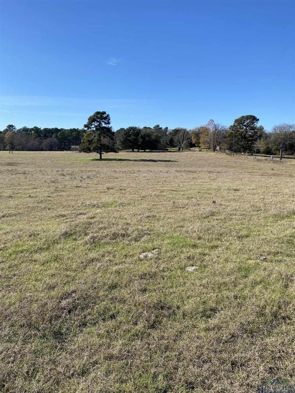TBD Silk Tree Rd (Lot 1), Gilmer, TX 75645 for Sale