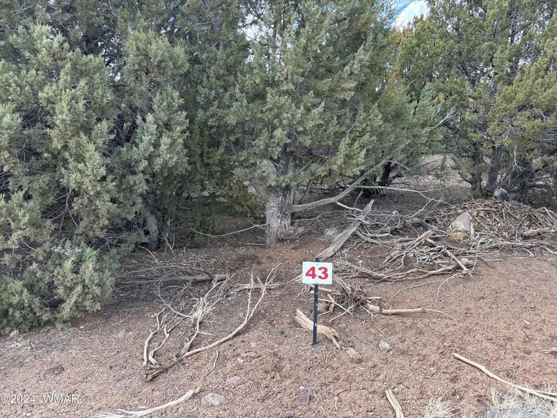 TBD (Lot 43) N3026, Vernon, AZ 85940  623588829 for Sale