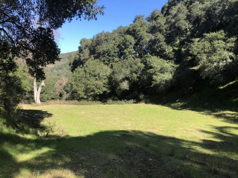 2925 QUINN CANYON RD, SAN JUAN BAUTISTA, CA 95045 Land For Sale  MLS# ML81953050