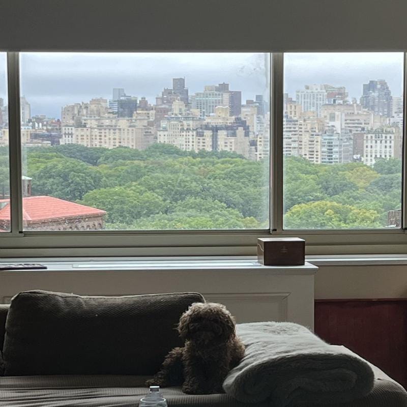 Rental listing in Upper West Side, Manhattan. Contact the landlord or property manager direct about rental.