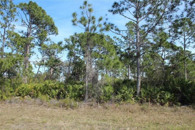 Port Charlotte, Charlotte County, FL Undeveloped Land, Homesites for sale Property ID: 418810421