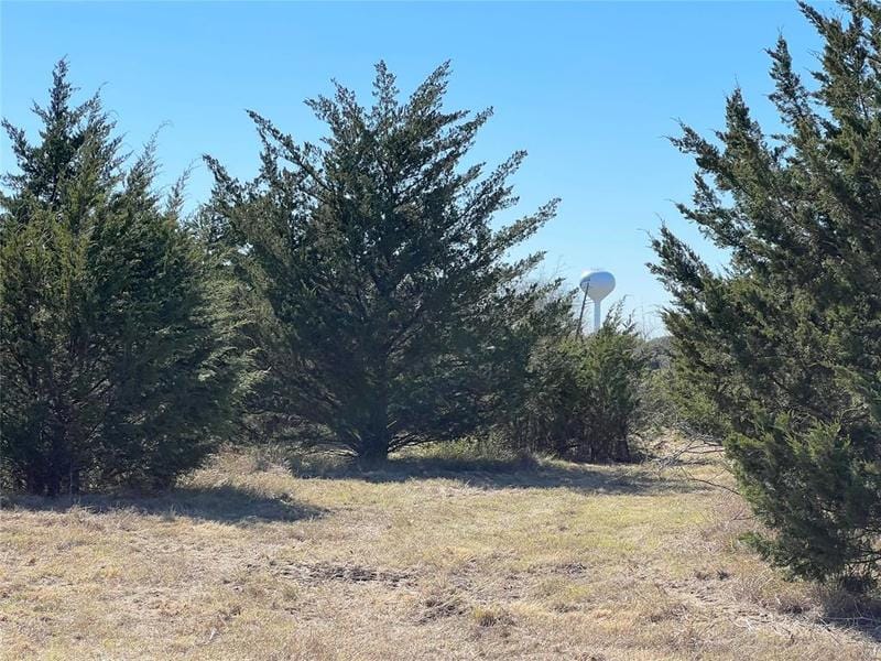 1011 Hertel Road, Schulenburg, TX 78956 for Sale