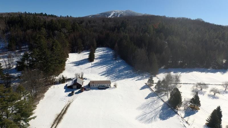 1602 Highway 114, Burke, VT 05832 for Sale