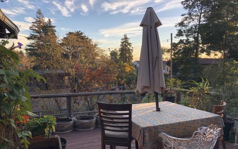 Rental listing in Berkeley, Alameda County. Contact the landlord or property manager direct about rental.