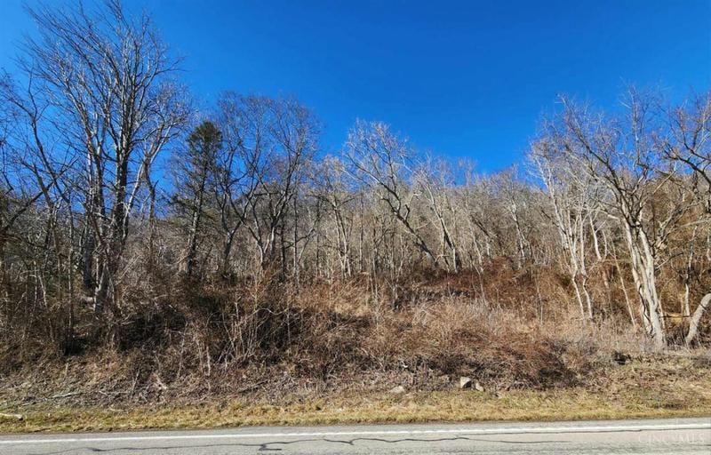 28926 US HIGHWAY 52, Stout, OH 45684 Land For Sale  MLS# 1795579