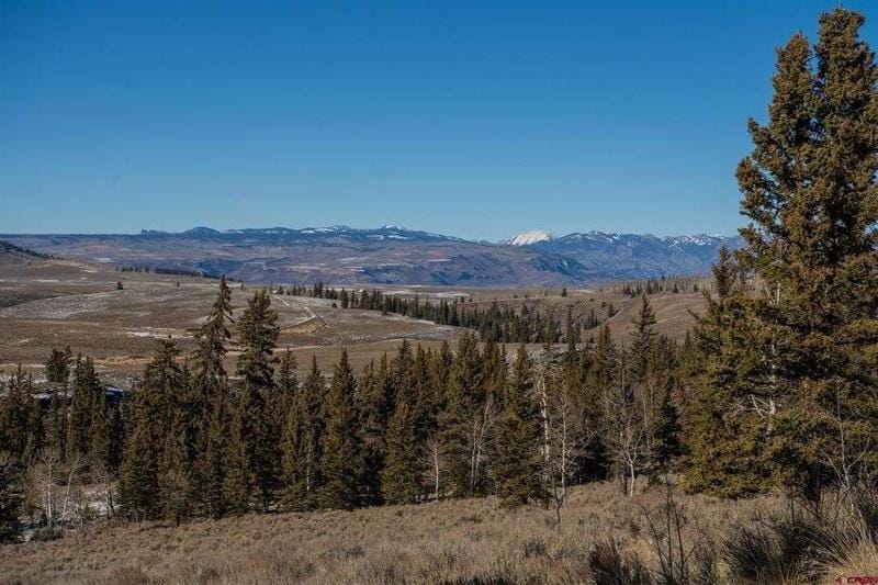 TBD Sandy Draw Road, Powderhorn, CO 81243  622348214 for Sale