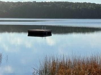 210 Buttry Way, Wellfleet, MA 02667 - MLS 73197130 for Rent