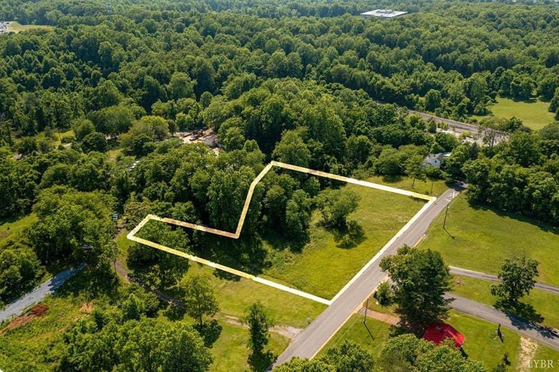 115 Chapel Lane, Lynchburg, VA 24501 for Sale