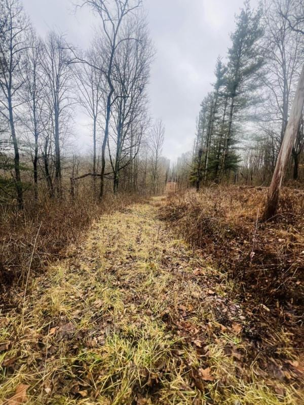 61275 HARDEN RD, Mc Arthur, OH 45651 Farm For Sale  MLS# 224003296 for Rent
