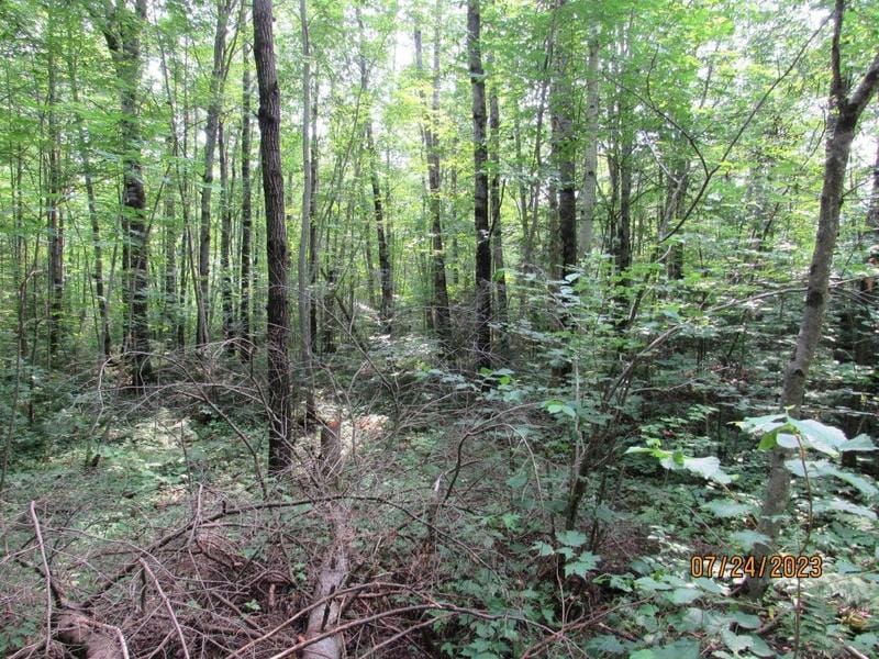 Phillips, Price County, WI Undeveloped Land for sale Property ID: 417106794