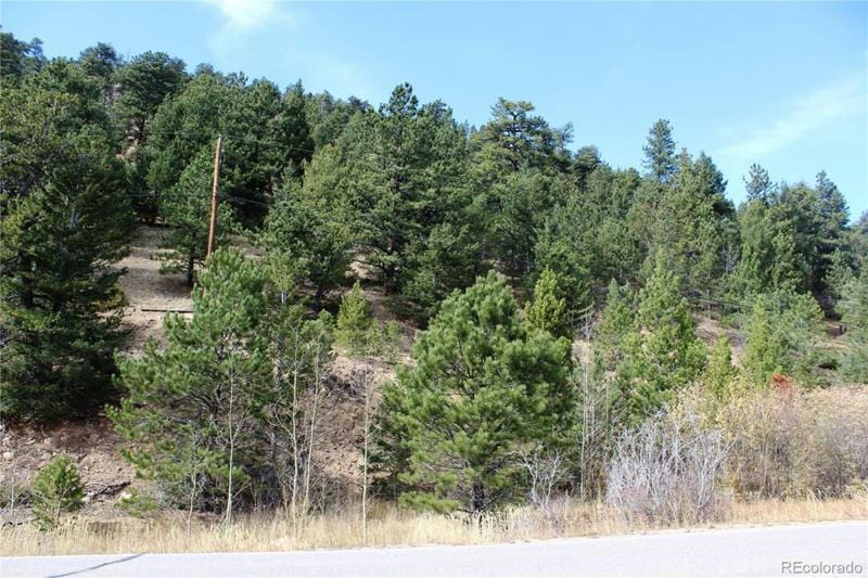 15200 INDIANA GULCH ROAD, Ward, CO 80481 Land For Sale  MLS# 7928016