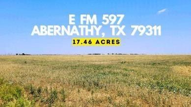 0 FM 597, Abernathy, TX 79311 for Sale