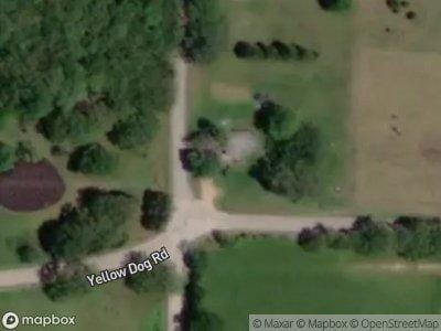 Yellow Dog Rd for Sale