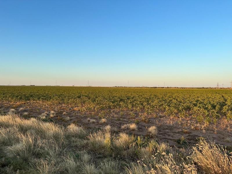 4 County Road 5400, Lubbock, TX 79403 for Sale