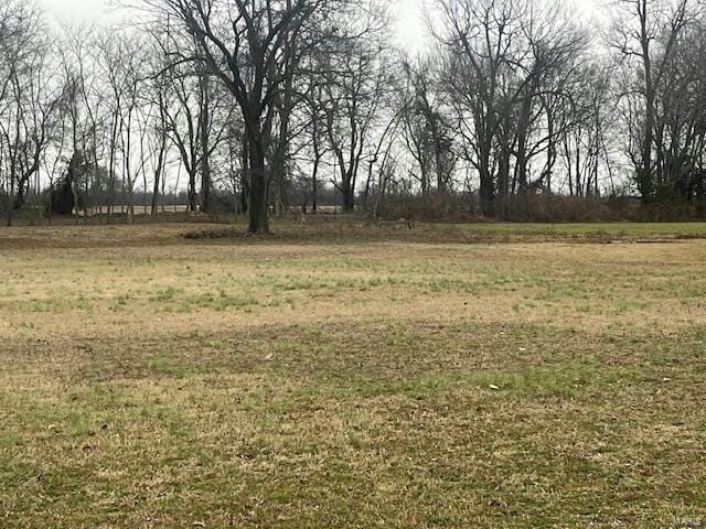 0 HATTON AVENUE, Charleston, MO 63834 Land For Sale  MLS# 24006030