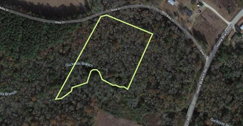 Tract 2A 20 District, Manning, SC 29102 - MLS 24002922 for Sale