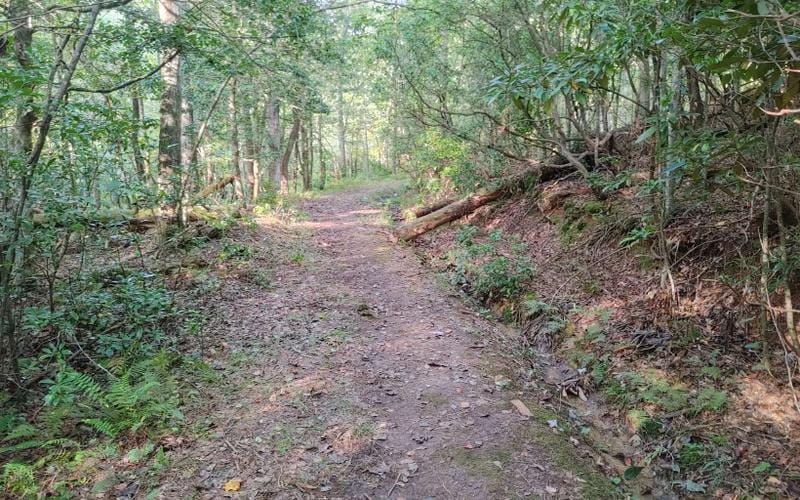 Mineral Bluff, Fannin County, GA Undeveloped Land, Homesites for sale Property ID: 418838702