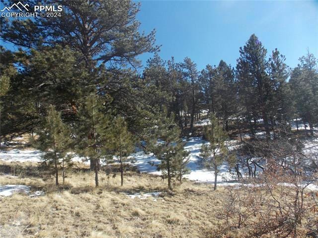 817 MOFFAT DR, Cripple Creek, CO 80813 Land For Sale  MLS# 9953959