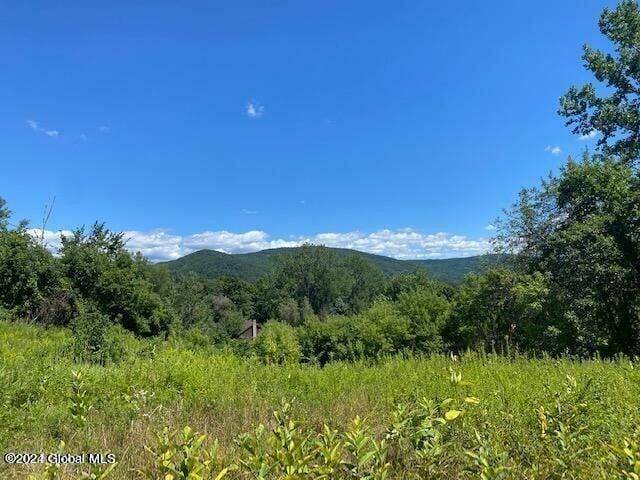 Hoosick, Rensselaer County, NY Undeveloped Land, Homesites for sale Property ID: 418681914