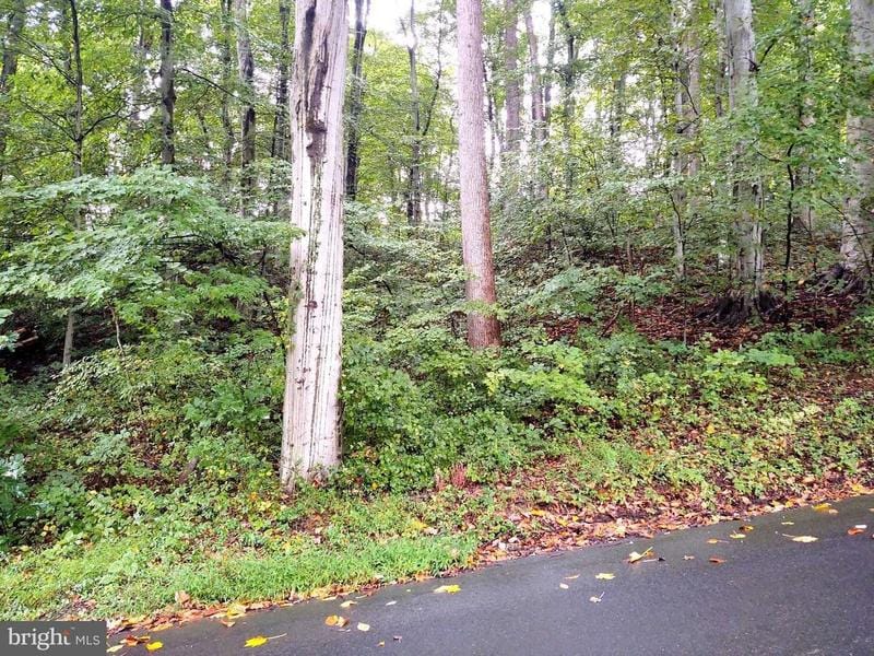 LOTS 126-127 CODJUS DR, RISING SUN, MD 21911  622203217 for Sale