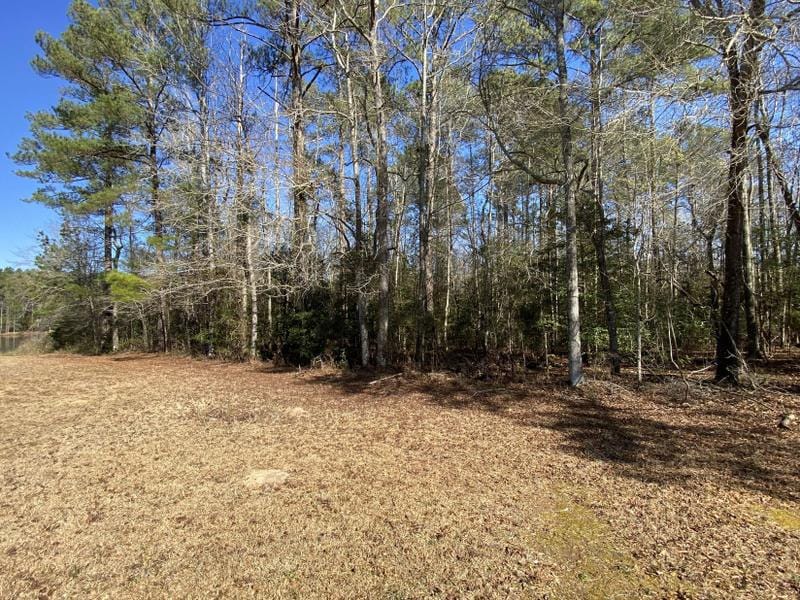 Thomson, Mc Duffie County, GA Undeveloped Land, Homesites for sale Property ID: 418842482