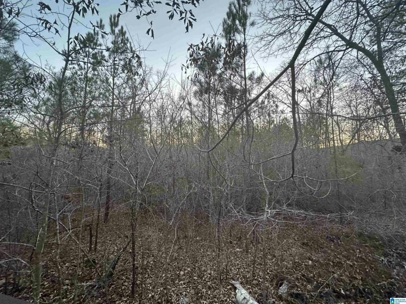 93 HOMEWOOD ACRES LN # 1, EASTABOGA, AL 36260 Land For Sale  MLS# 21376114