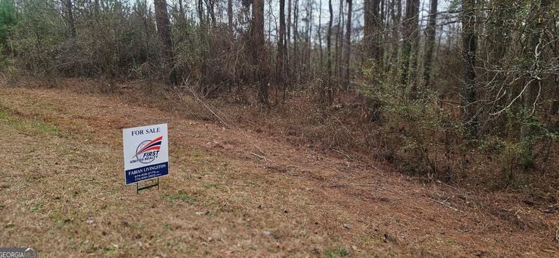 0 Tamarack Rd Rd, Monticello, GA 31064 - MLS 10245678 for Sale