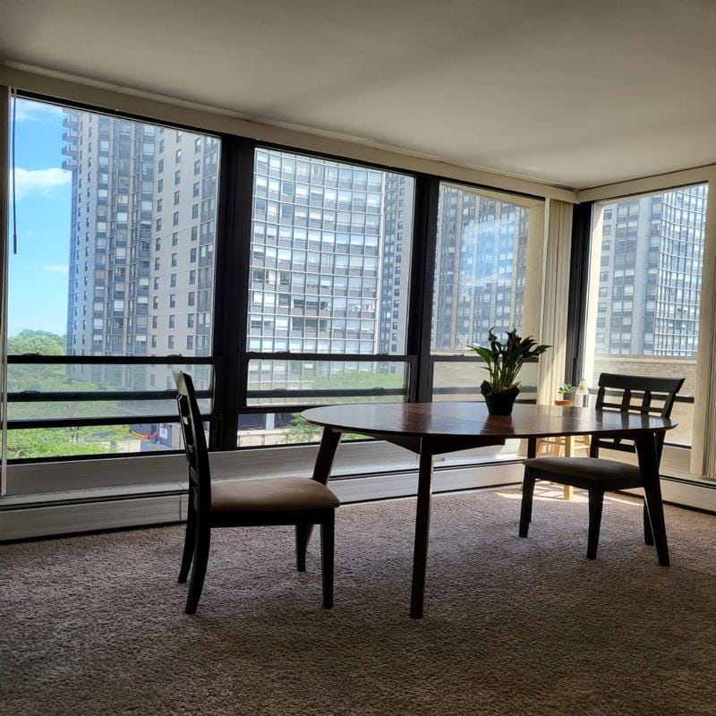 Furnished Edgewater, North Side room for rent in 2 Bedrooms, Apartment for 1100 per month. Room ID 4738291