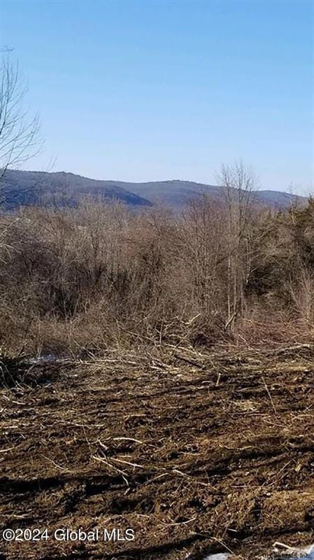 Amenia, Dutchess County, NY for sale Property ID: 418784767