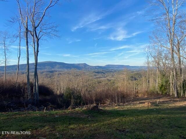 Lot 1 Chestnut Mountain Road, Reliance, TN 37369 for Sale