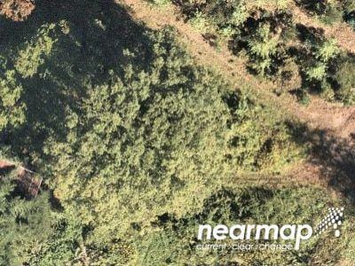 Rippling Branch Ln for Sale