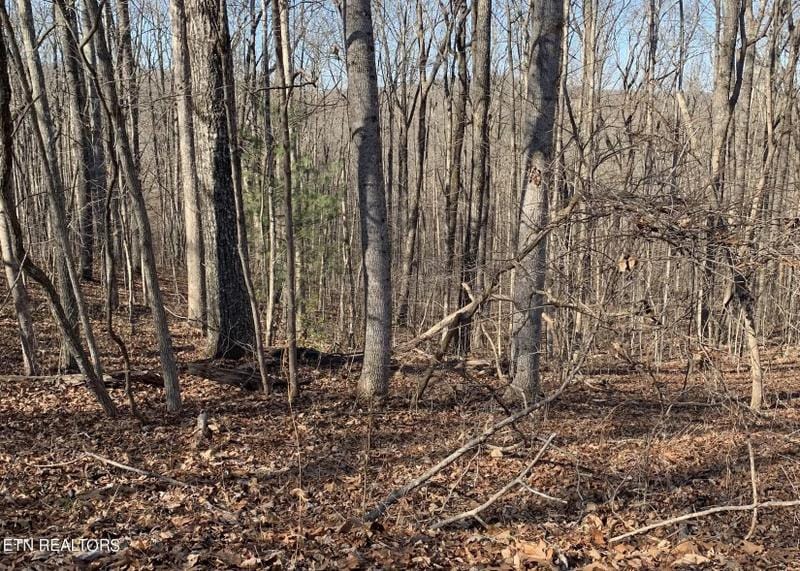 Fairfield Glade, Cumberland County, TN Homesites for sale Property ID: 418870989