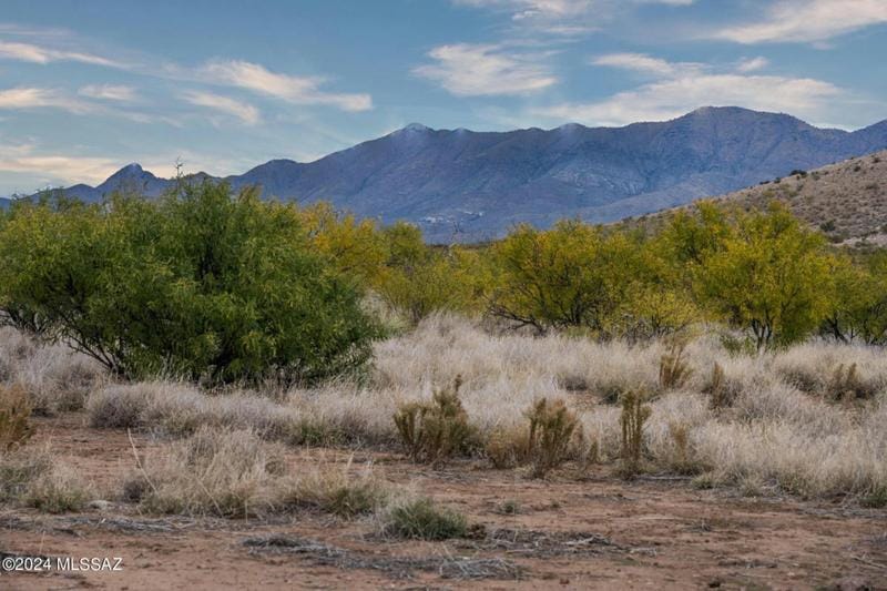 10 ACRES NO NAME LOT 3 ROAD, Douglas, AZ 85607 Land For Sale  MLS# 22402191