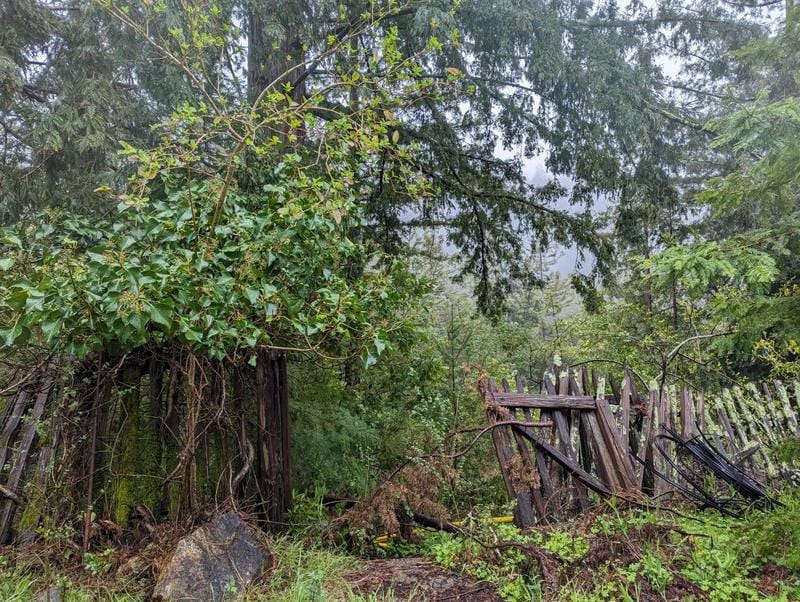 0 Glenwood Drive, Scotts Valley, CA 95033 for Sale