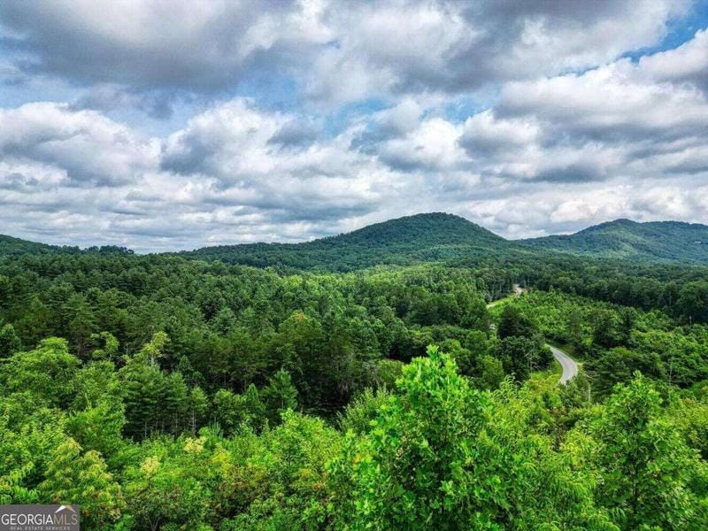 16-ac Hardscrabble Road, Mineral Bluff, GA 30559 for Sale