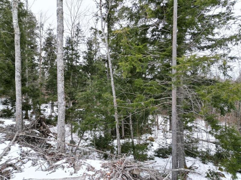 L-7 Mc Ginley Road, Springfield, ME 04487  624355003 for Sale