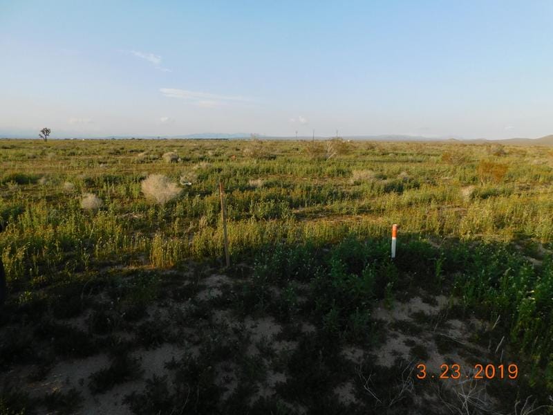 Magnolia Avenue, California City, CA 93505 for Sale