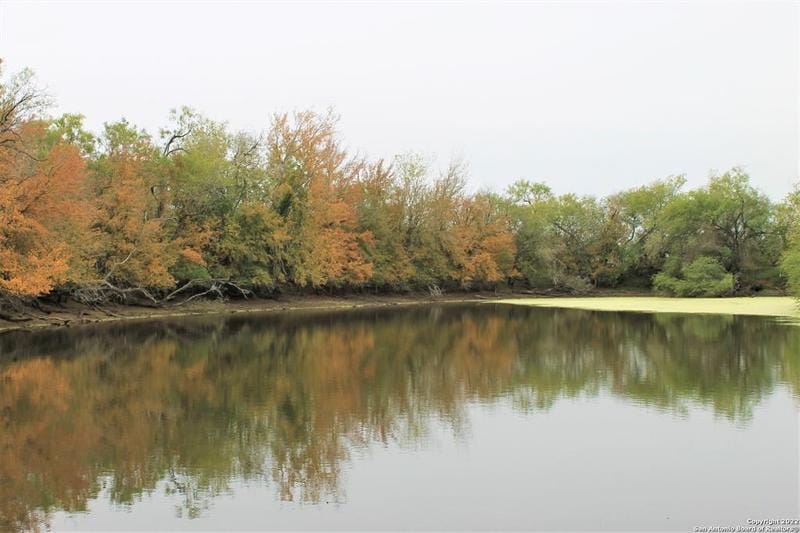 2387 CR 414, , TX 78113 for Sale