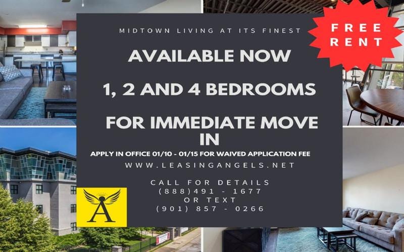 Rental listing in Midtown, Memphis Area. Contact the landlord or property manager direct about rental.