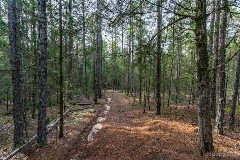 0000 BLACKWELDER ROAD, Indian Land, SC 29707 Land For Sale  MLS# 4091768