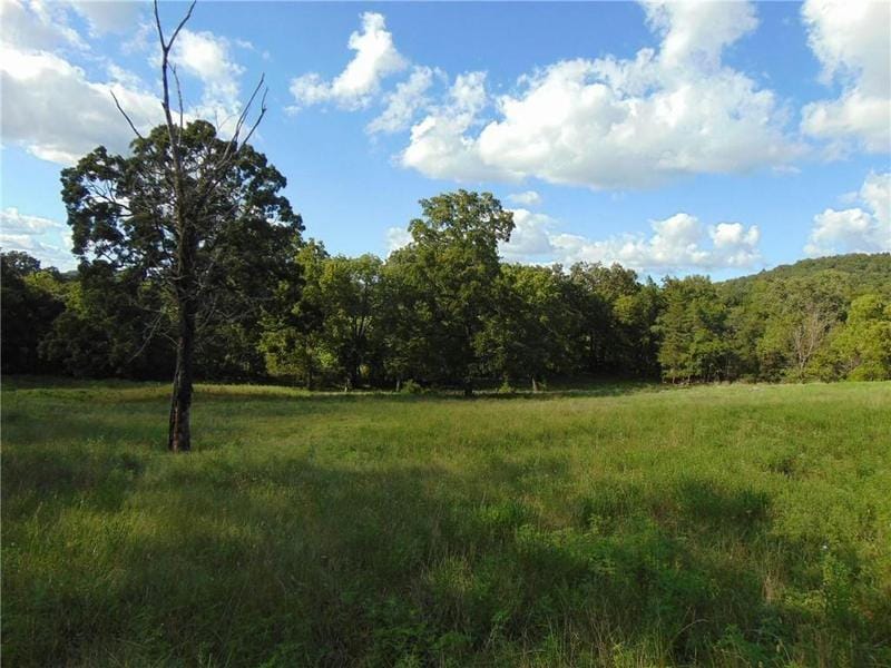 3390 COUNTY ROAD 608, Berryville, AR 72616 Land For Sale  MLS# 148536