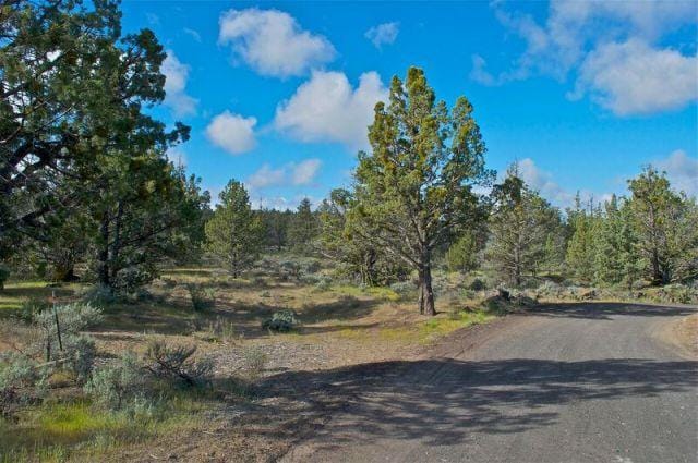 Montague, Siskiyou County, CA Undeveloped Land, Homesites for sale Property ID: 418879647